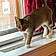 Oliver