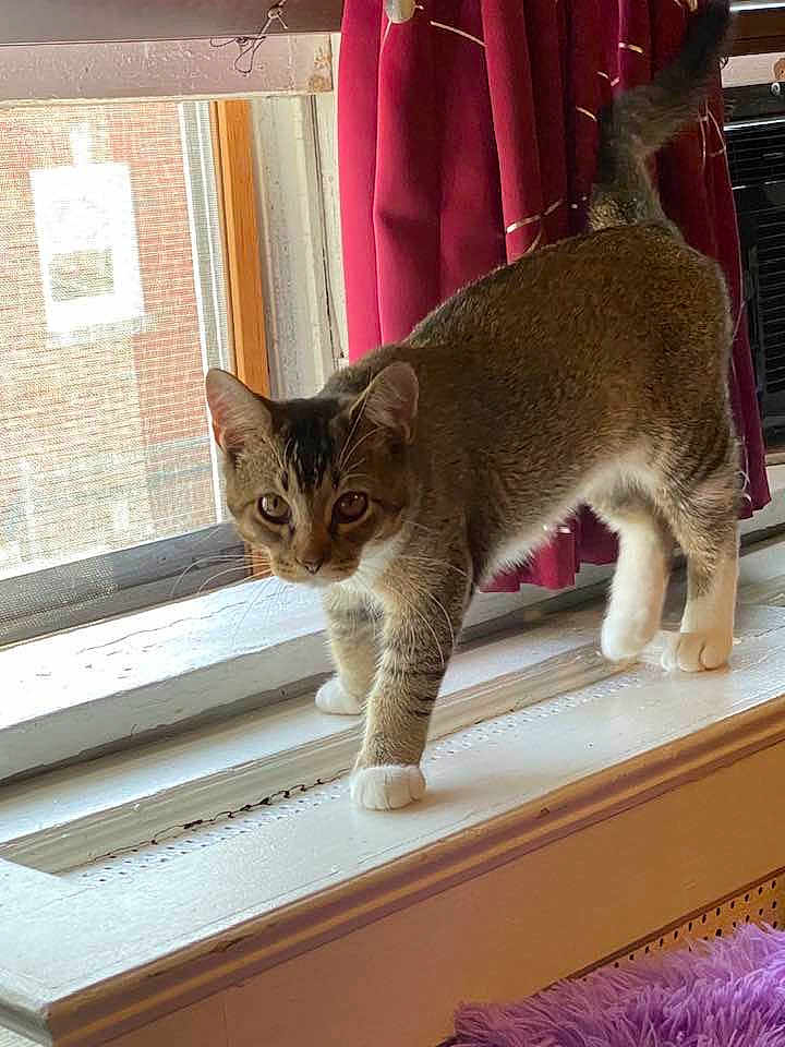 Oliver