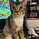 Oliver