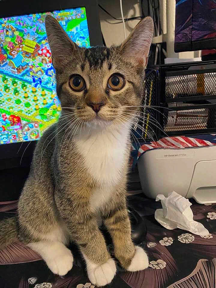 Oliver