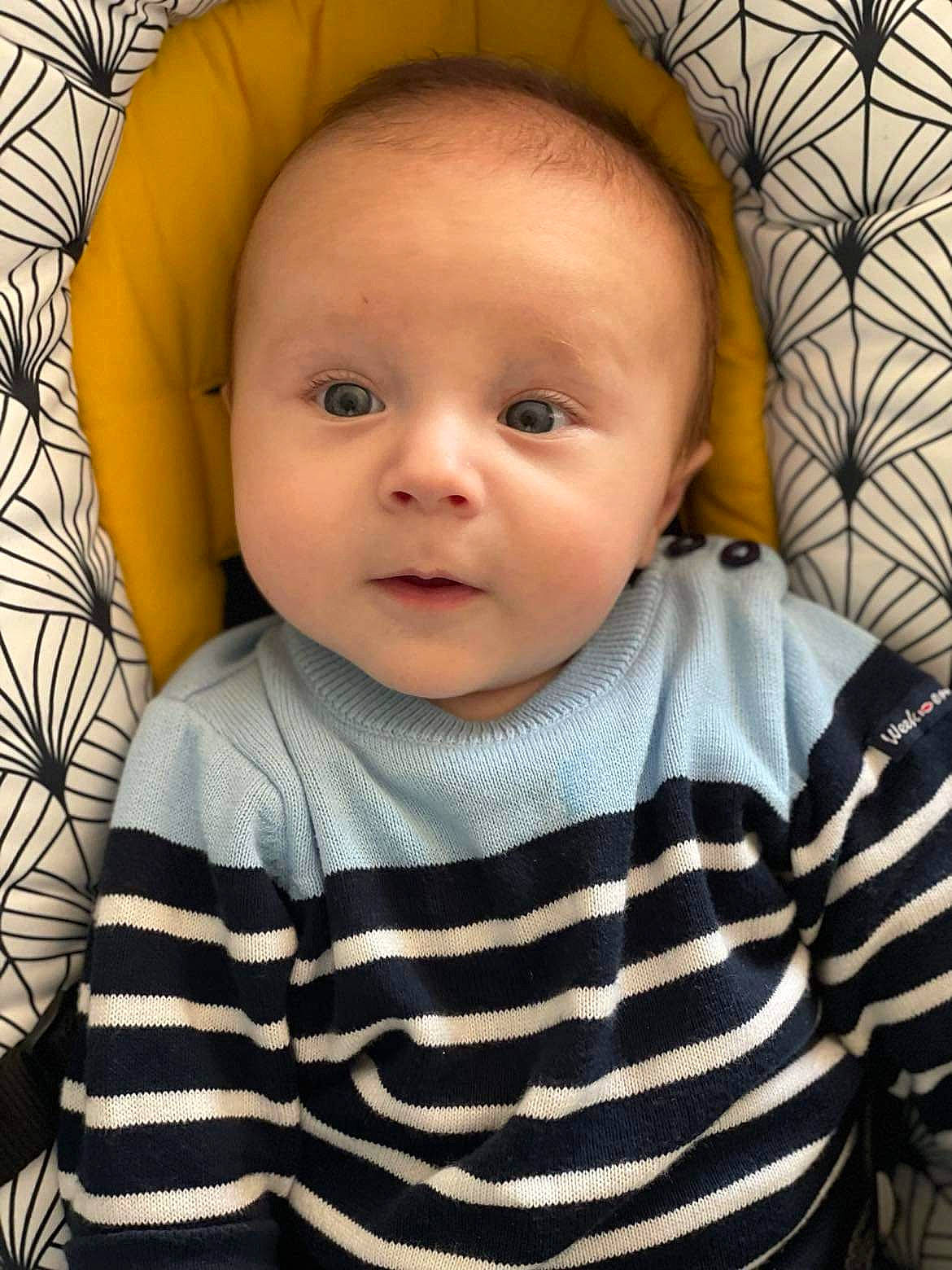 Milo a rejoint le concours — aidez-le/la à gagner de superbes lots ! baby, baby_toddler_clothing, black, cheek, chin, comfort, cool, eye, eyebrow, eyelash, facial_expression, happy, iris, lip, mouth, neck, nose, person, skin, sleeve