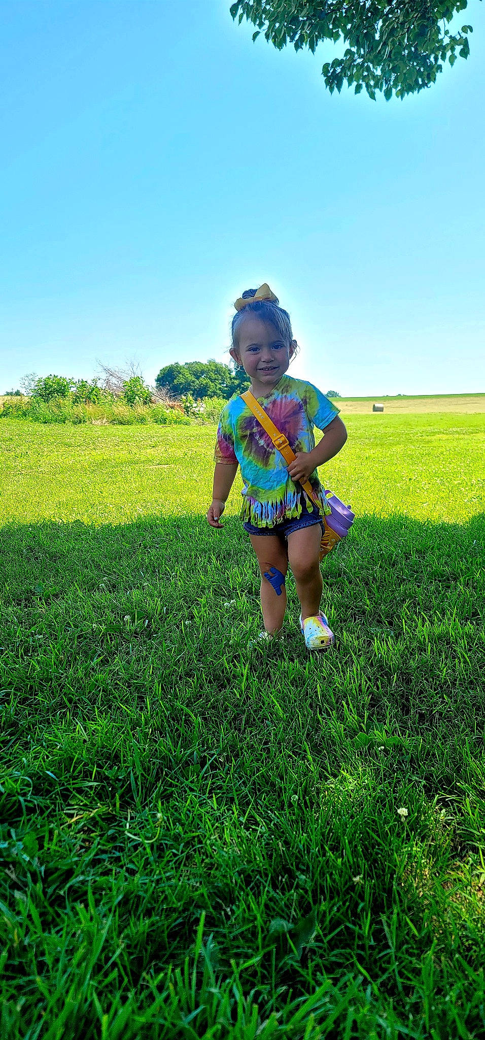 Willa is registered to the contest to win money with this photo: agriculture, baby_toddler_clothing, electric_blue, grass, grass_family, grassland, green, happy, joy, landscape, leisure, meadow, natural_landscape, people_in_nature, person, plain, plant, prairie, sky, sunlight