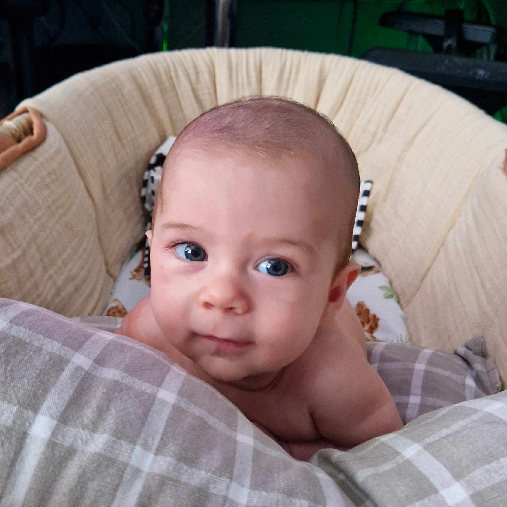 Xander joined the competition — help win amazing prizes! baby, bassinet, blanket, blue_eyes, child, comfort, curious, cushion, cute, face, head, indoors, infant, newborn, plaid, portrait, resting, skin, soft, young