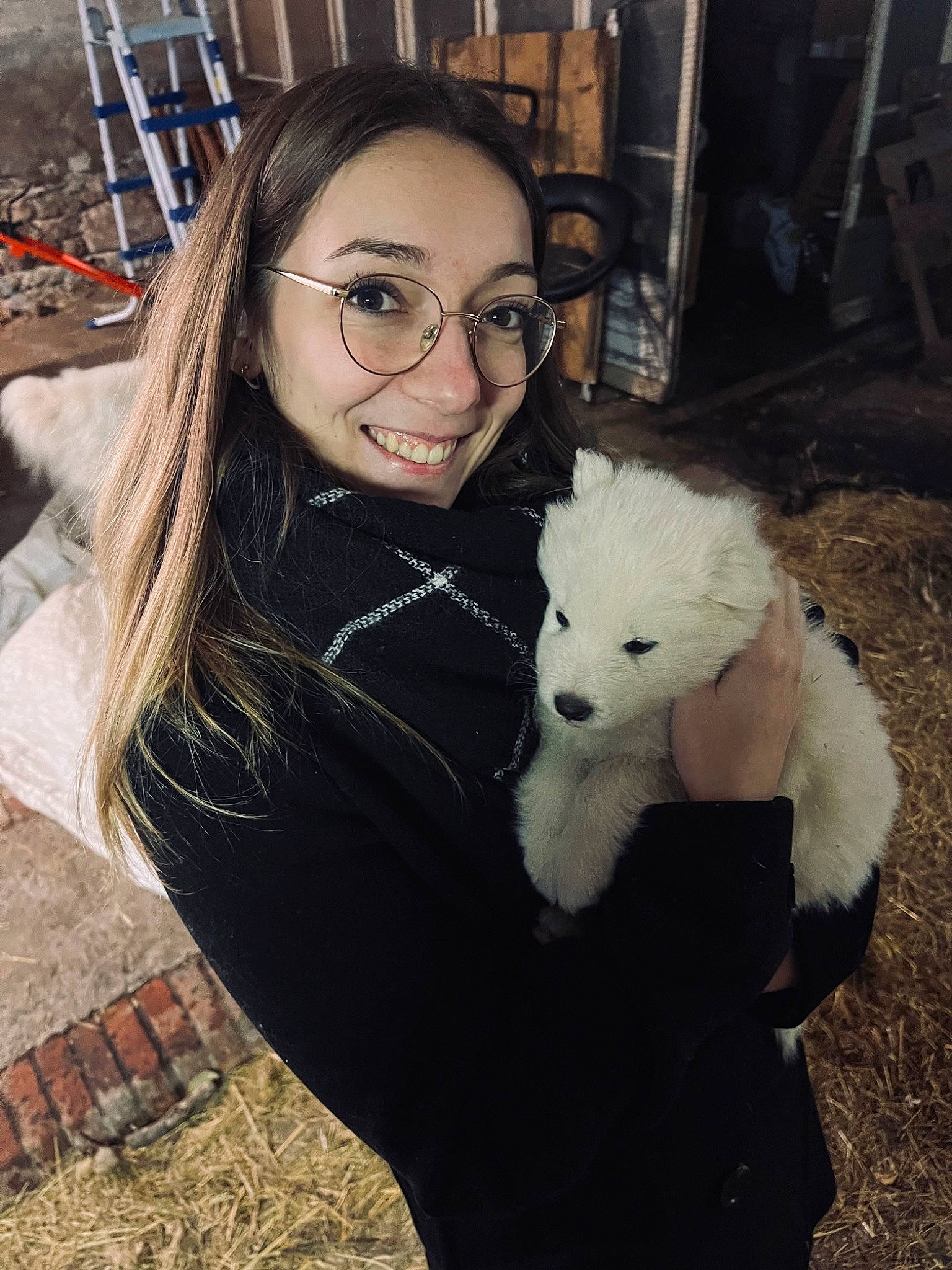 Tweeny participe au concours pour gagner de l'argent avec cette photo : carnivore, companion_dog, dog, dog_breed, eye, eyewear, face, fashion_accessory, fur, glasses, hair, happy, selfie, sitting, smile, spitz, t_shirt, thigh, toy_dog, vision_care