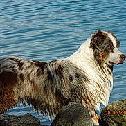 Gus a rejoint le concours — aidez-le/la à gagner de superbes lots !