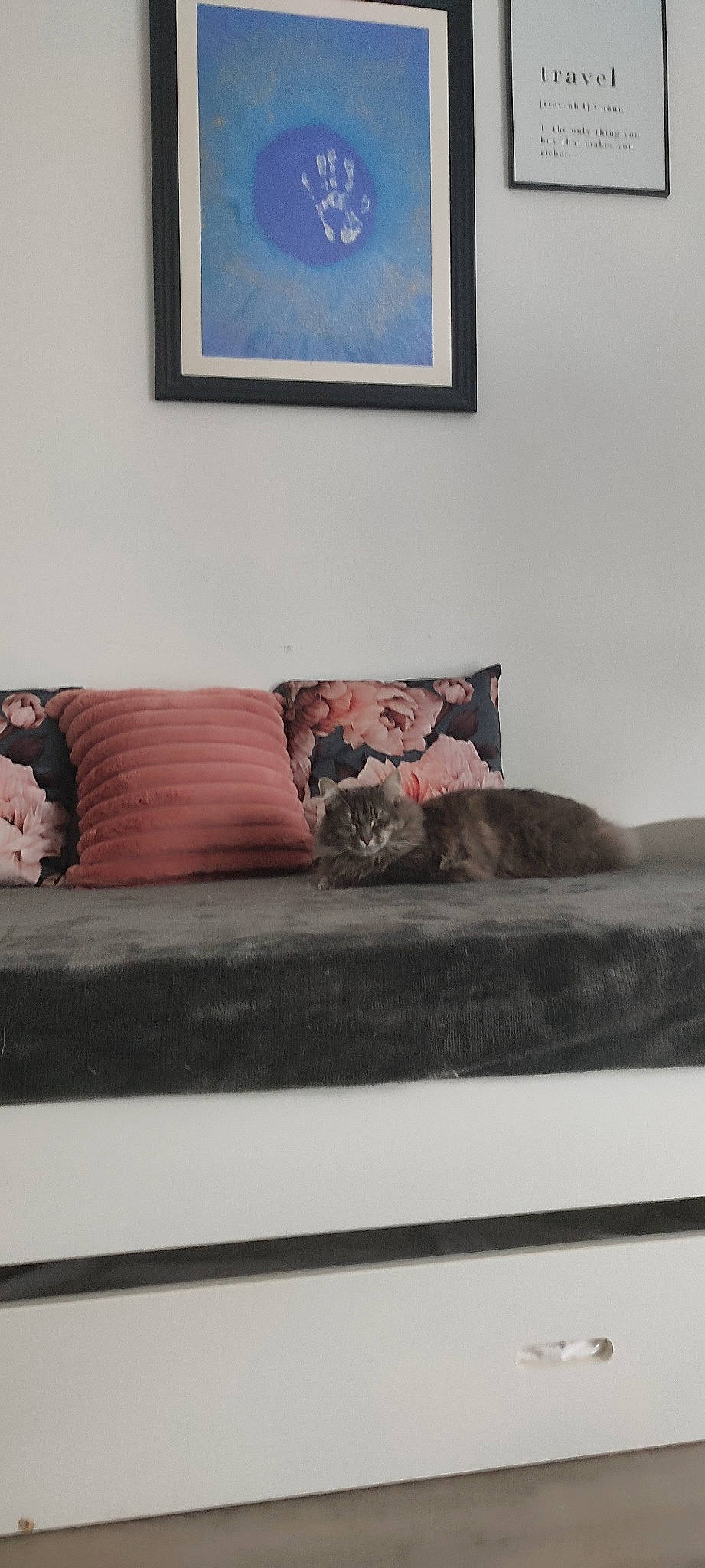 Sybelle participe au concours pour gagner de l'argent avec cette photo : art, bedding, bedroom, comfort, couch, felidae, floor, flooring, grey, hardwood, laminate_flooring, linens, living_room, paint, picture_frame, rectangle, sofa_bed, studio_couch, wood, wood_flooring