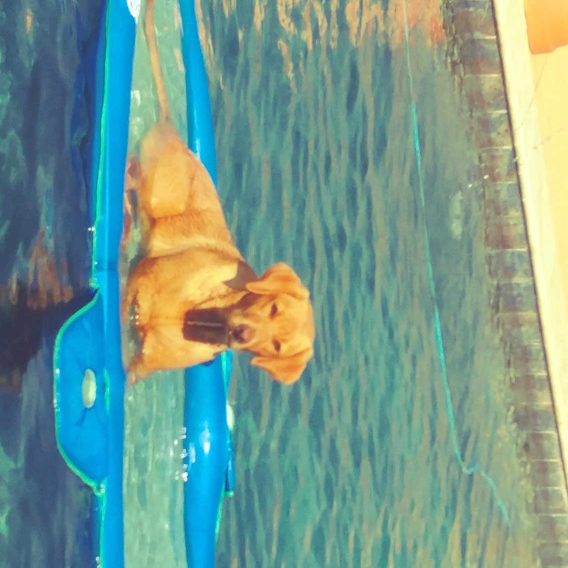 Linda joined the competition — help win amazing prizes! aqua, art, azure, electric_blue, fun, green, house, leisure, organism, paint, painting, recreation, summer, sunglasses, textile, tree, visual_arts, water, window, wood