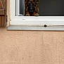 Snoop Et Bella participe au concours pour gagner de l'argent avec cette photo : dog, german_shepherd, window, window_sill, paws, curious, alert, animal, pet, brown, black, ears, face, outdoor, wall, beige, texture, resting, looking, home