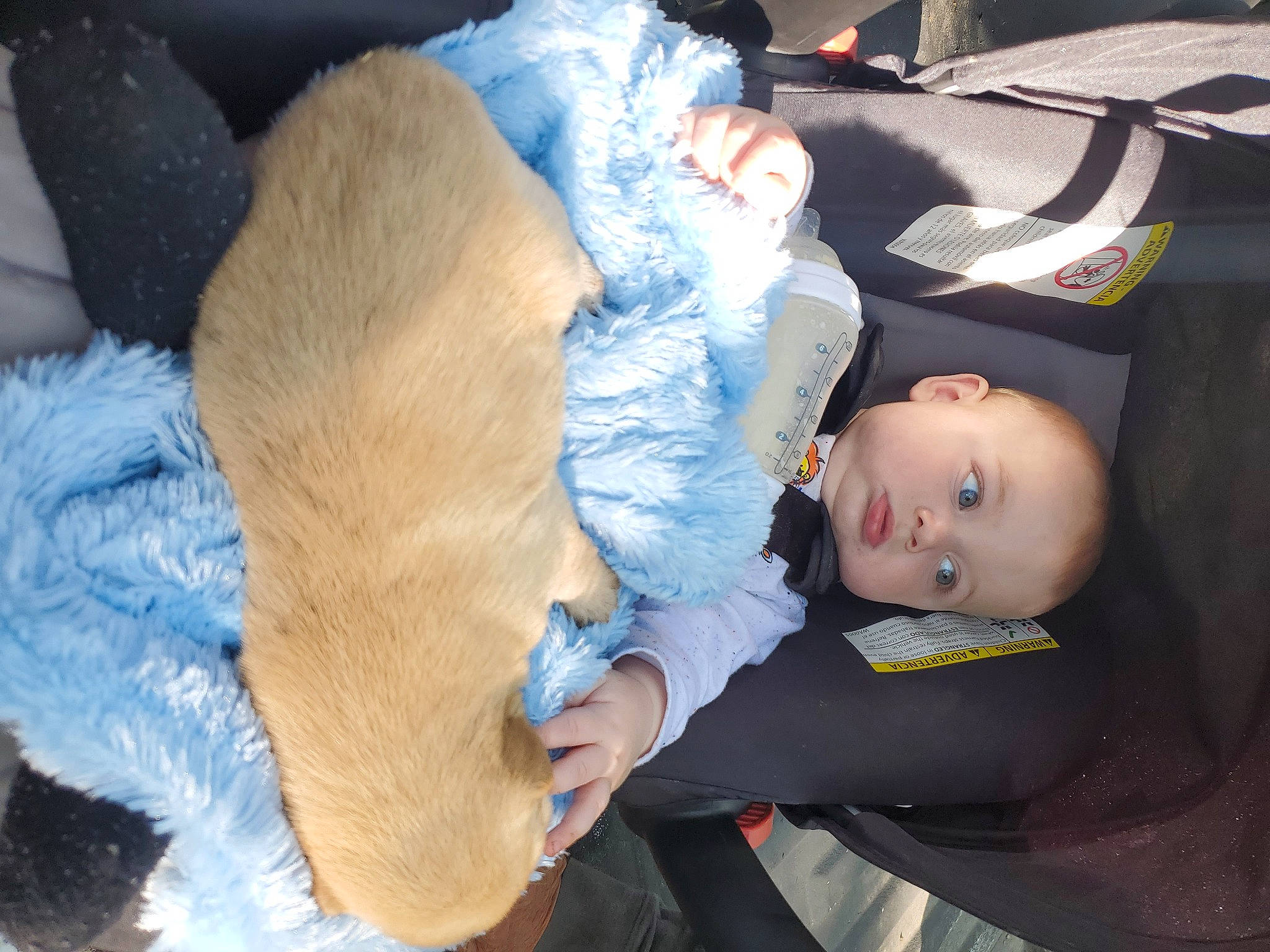 Waylon Cash is registered to the contest to win money with this photo: child, person