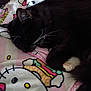 animal, black_cat, blanket, cat, closeup, colorful, comfort, cozy, cute, feline, fur, hello_kitty, indoor, pattern, paw, pet, resting, sleeping, soft_lighting, whiskers