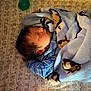 baby, sleeping, blanket, crib, pacifier, teddy_bear, blue_clothing, infant, soft_texture, pattern, child, peaceful, resting, indoors, cute, newborn, nursery, head, face, cozy