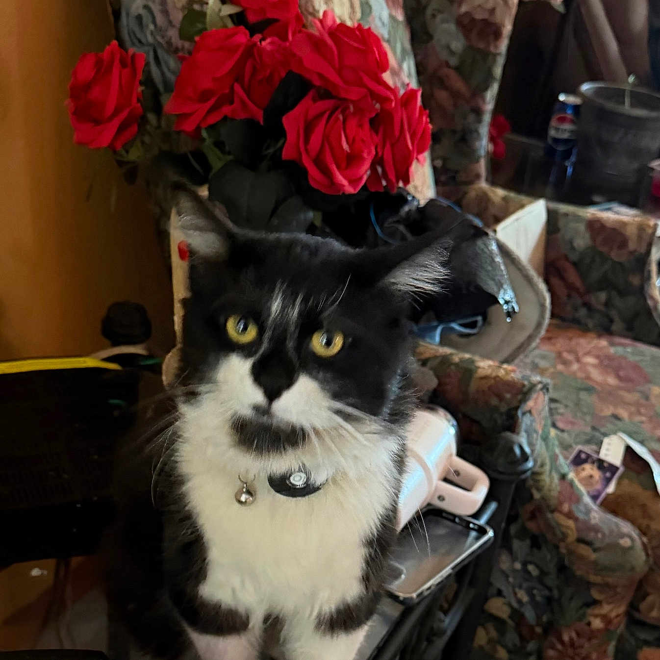 Tom