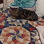 cat, tabby, quilt, bed, pillow, turtle_pillow, pattern, fabric, indoor, resting, animal, feline, striped, cozy, home, comfort, sleeping_area, textile, colorful, furniture