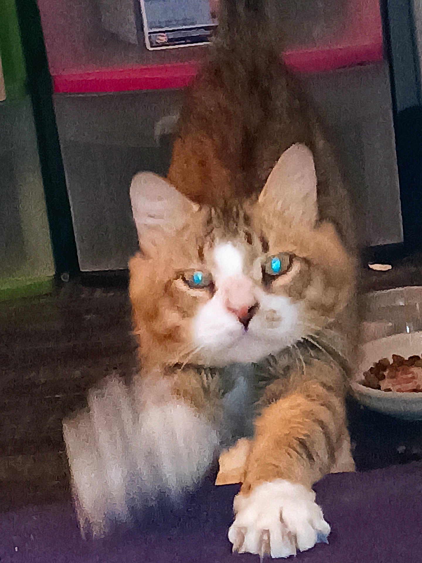 Gizmo