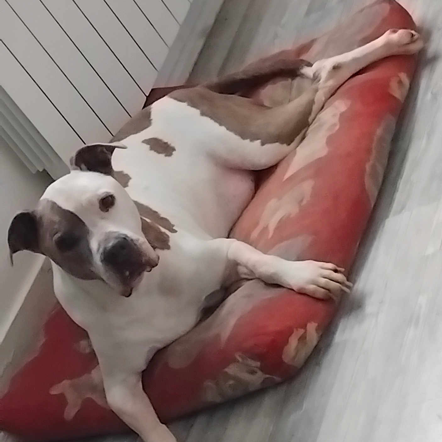 Floyd