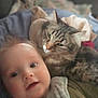 Cody joined the competition — help win amazing prizes! baby, cat, tabby_cat, cuddle, close_up, face, indoor, blanket, soft_light, pet, child, animal, fur, smile, comfort, young, cute, friendship, resting, portrait