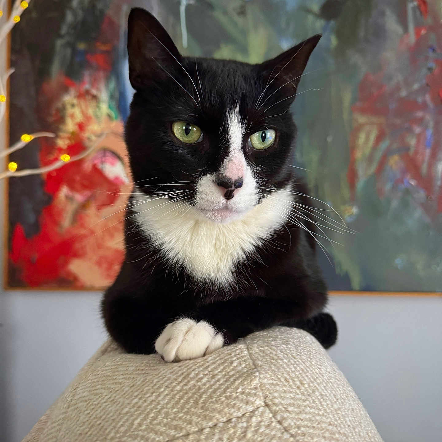 Archibald