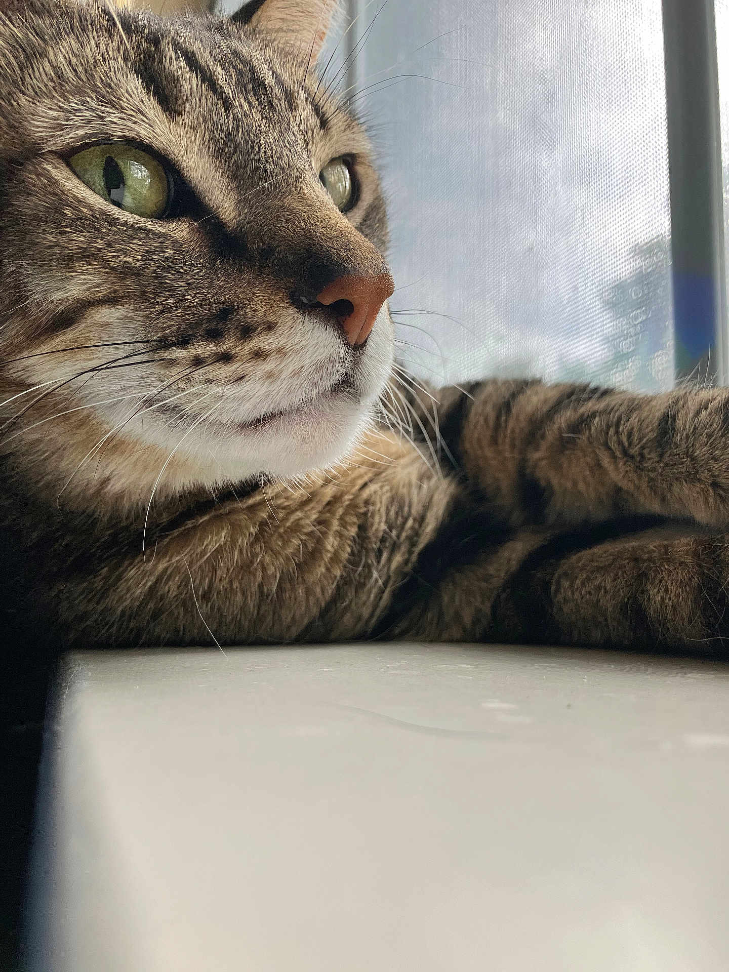 Sven