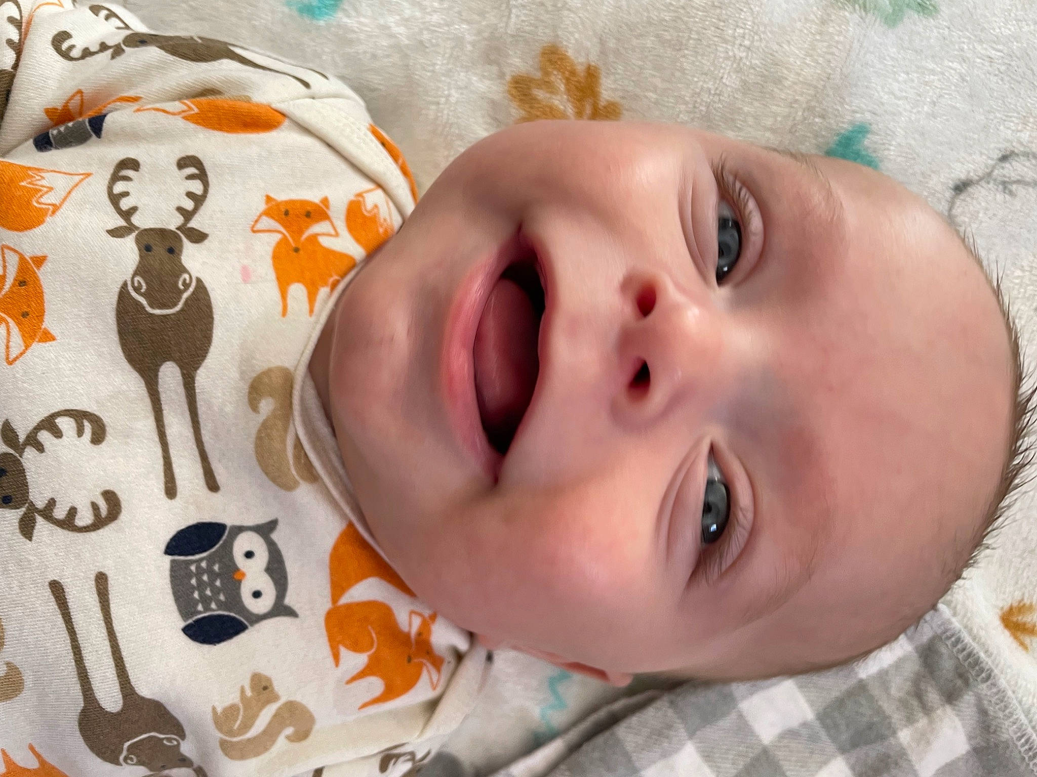 Kenneth is registered to the contest to win money with this photo: baby, baby_toddler_clothing, cheek, child, close_up, eyebrow, eyelash, facial_expression, fun, happy, headgear, iris, lip, mammal, nose, person, product, skin, smile, tartan