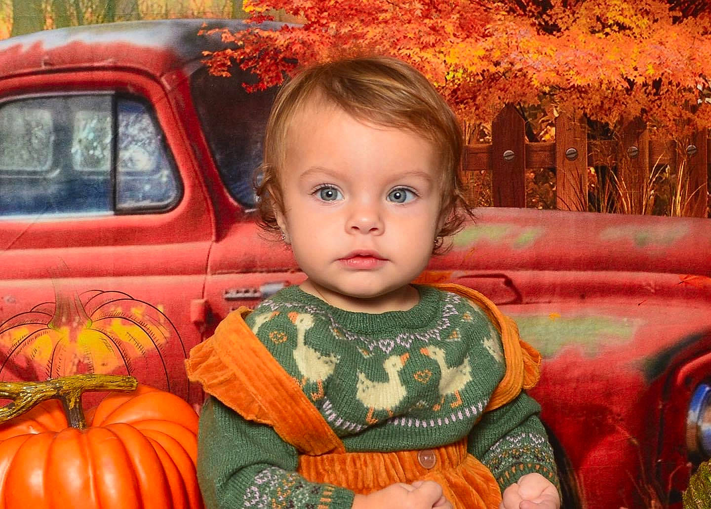 Livia Rose a rejoint le concours — aidez-le/la à gagner de superbes lots ! calabaza, car, eye, face, facial_expression, grass, green, hairstyle, happy, head, iris, leaf, orange, organ, people, person, plant, pumpkin, toddler, tree