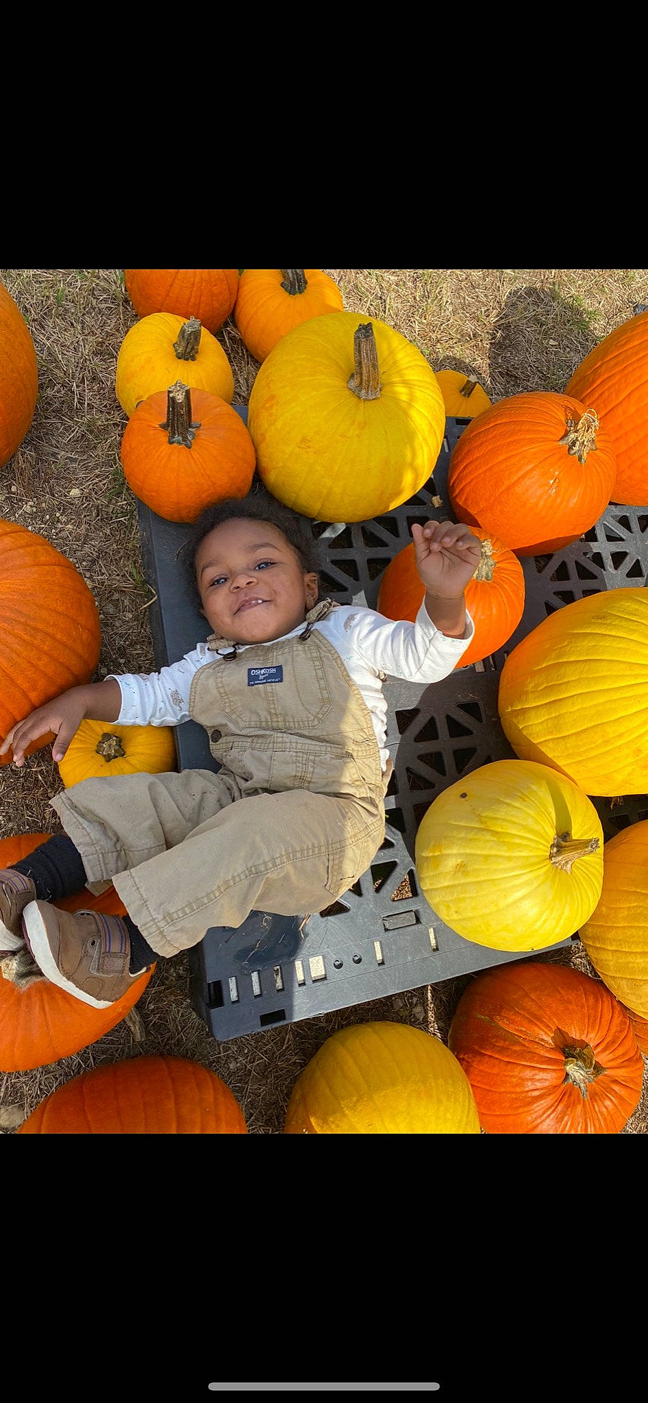 Graysin is registered to the contest to win money with this photo: _and_melon_family, _gourd, calabaza, cucumber, cucurbita, food, fruit, gourd, local_food, orange, person, plant, produce, pumpkin, smile, squash, vegetable, vegetarian_food, winter_squash