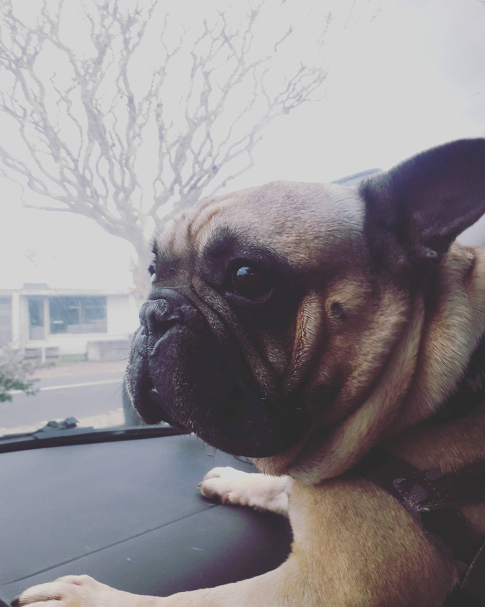 Narco