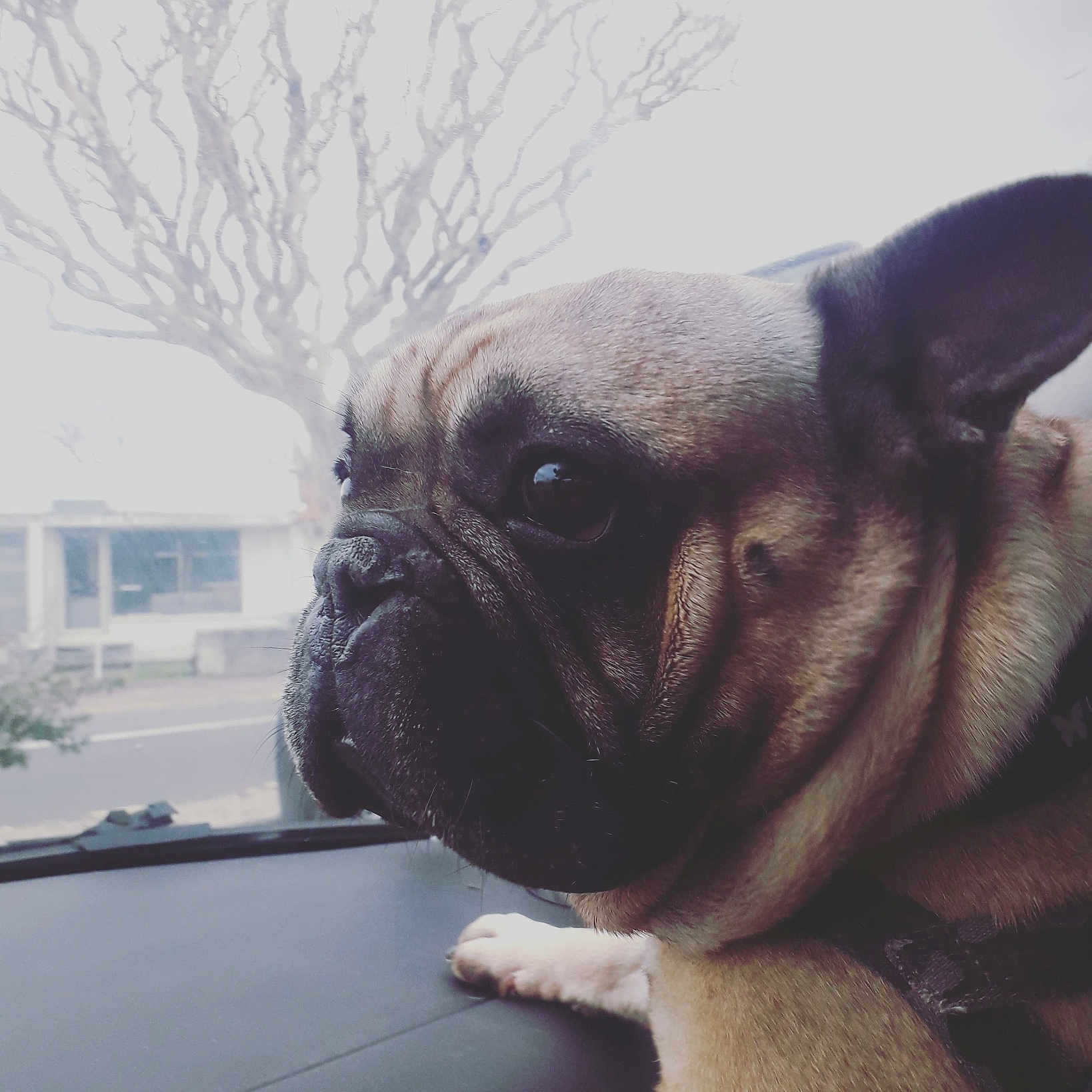 Narco