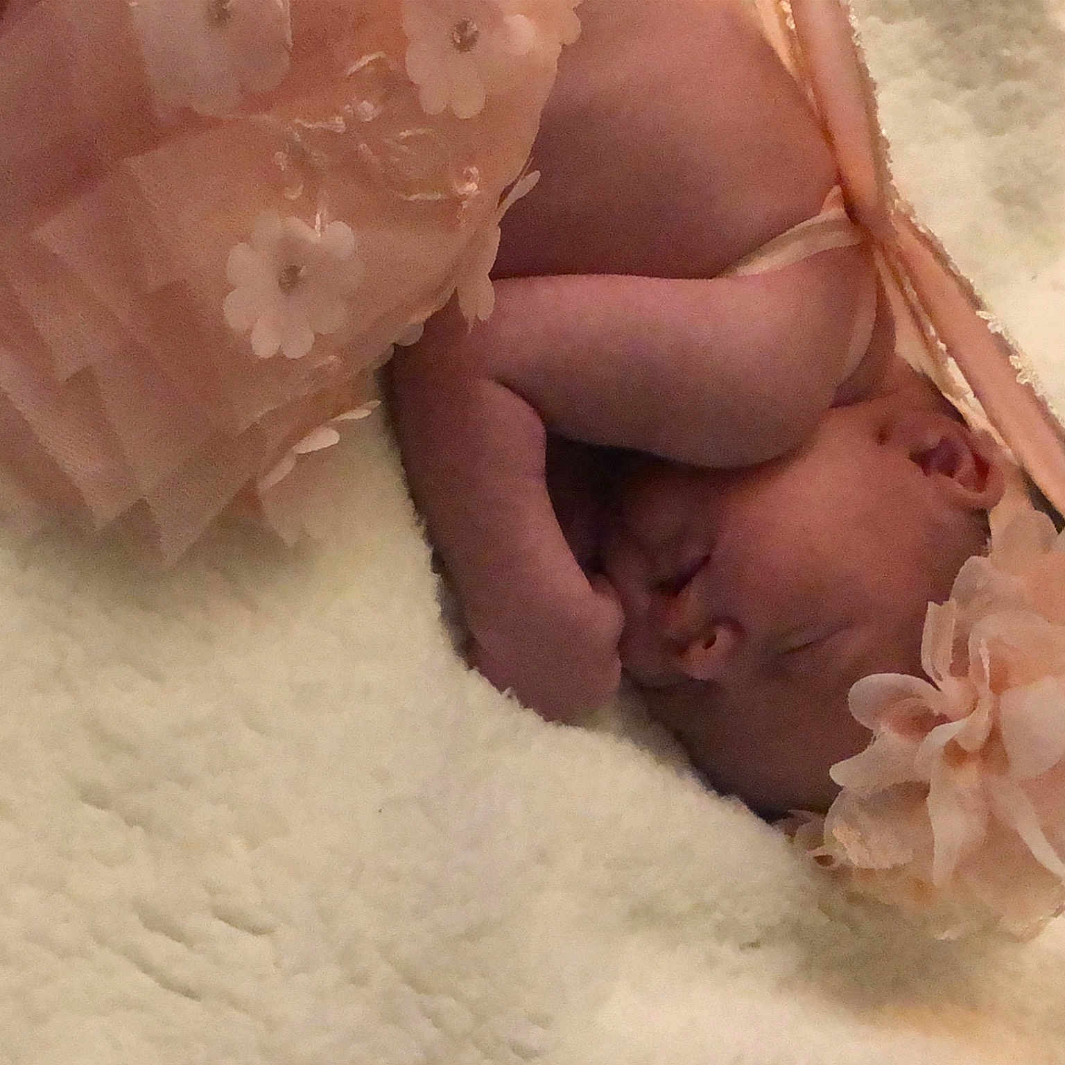 Novalynn is registered to the contest to win money with this photo: baby, bridal_accessory, carmine, close_up, comfort, cut_flowers, dress, fashion_accessory, flower, fur, hair_accessory, hand, headgear, linens, nail, peach, petal, pink, sweetness, toddler