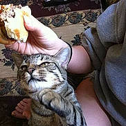 Boots joined the competition — help win amazing prizes!