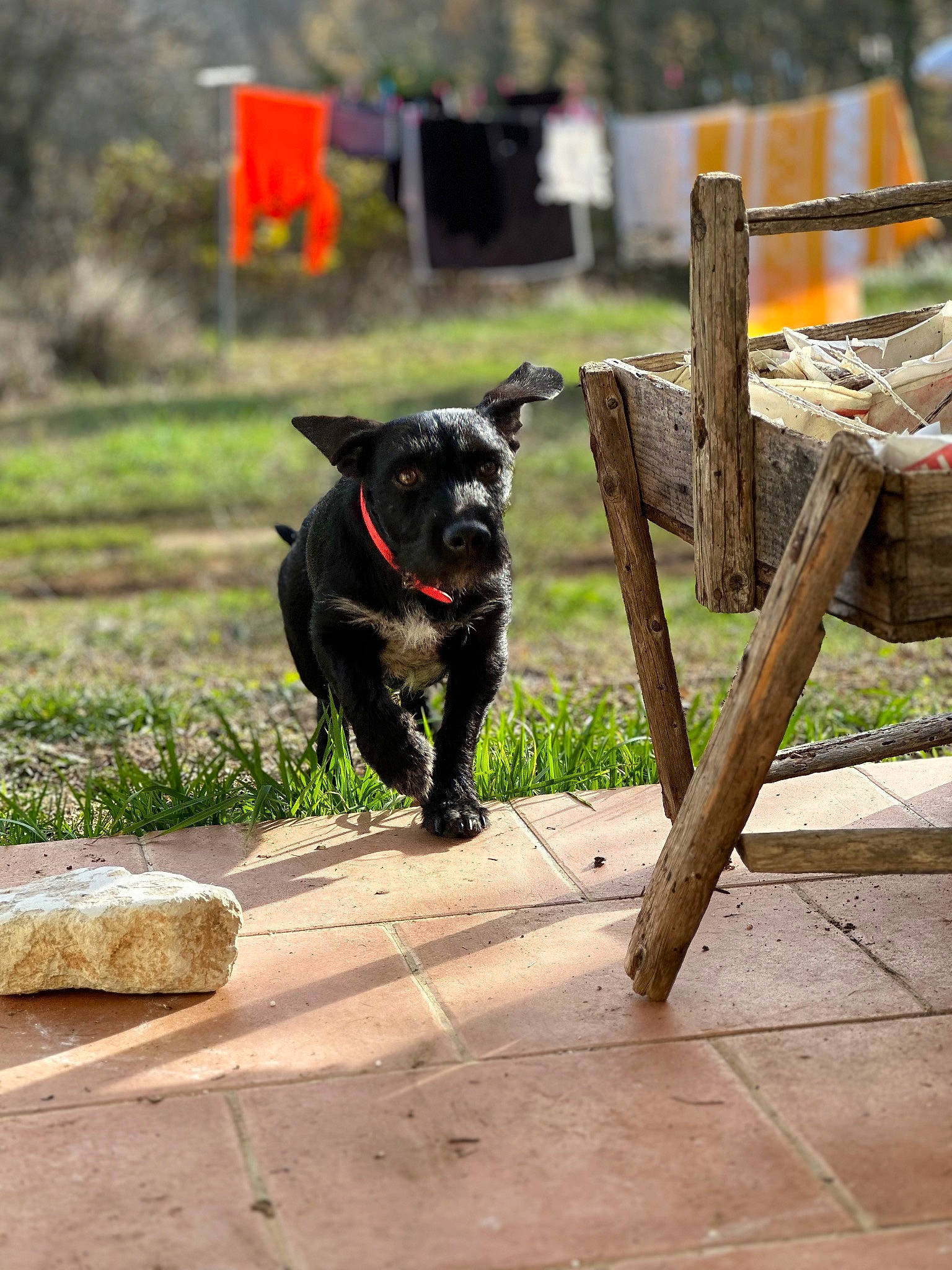 Titou