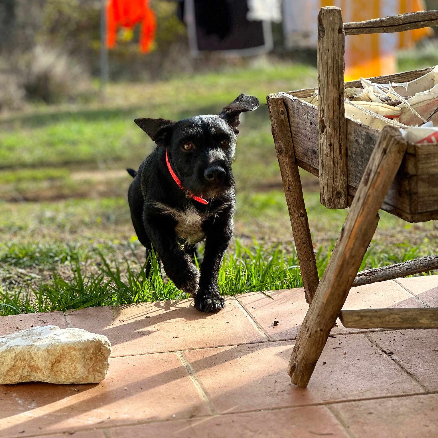 Titou