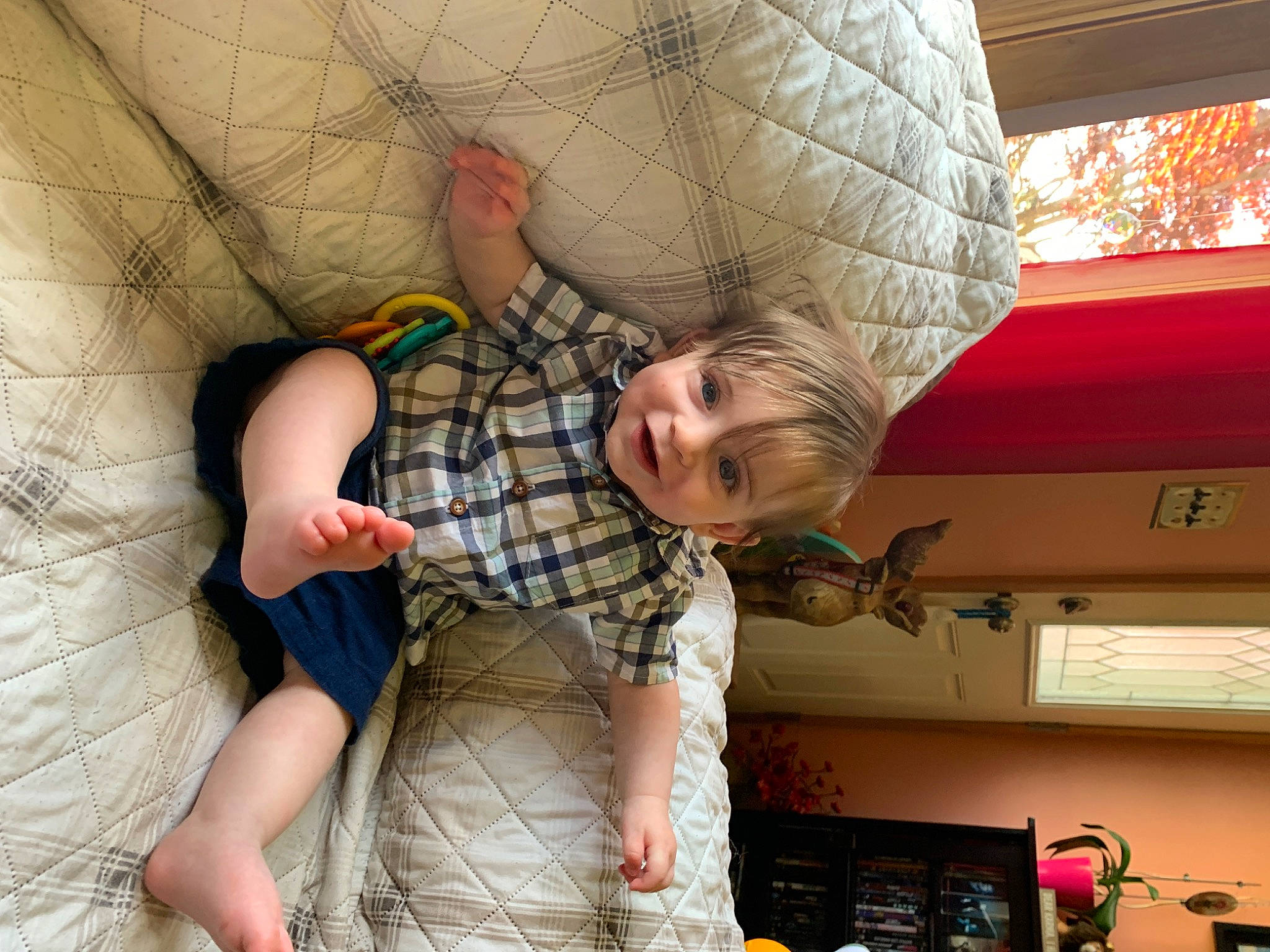 Dalton joined the competition — help win amazing prizes! arm, finger, hand, human_leg, leg, person