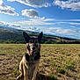dog, german_shepherd, animal, pet, outdoor, field, grass, sky, clouds, nature, sunlight, leash, happy, tongue_out, canine, landscape, rural, summer, ears_up, sitting