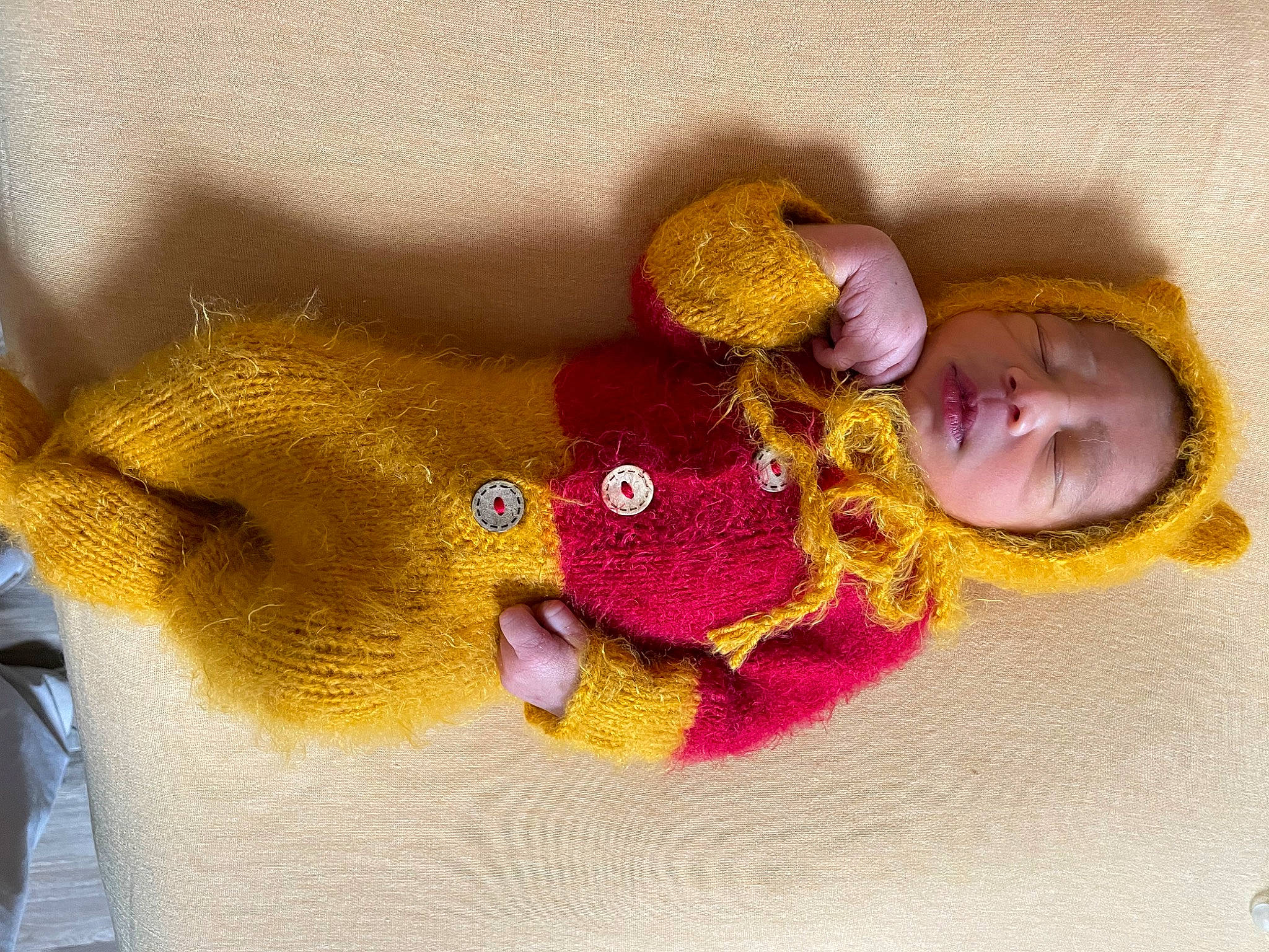 Kash joined the competition — help win amazing prizes! art, baby, baby_products, baby_sleeping, baby_toddler_clothing, baby_toys, comfort, fashion_accessory, fur, happy, linens, magenta, person, plush, room, stuffed_toy, teddy_bear, toddler, toy, wool