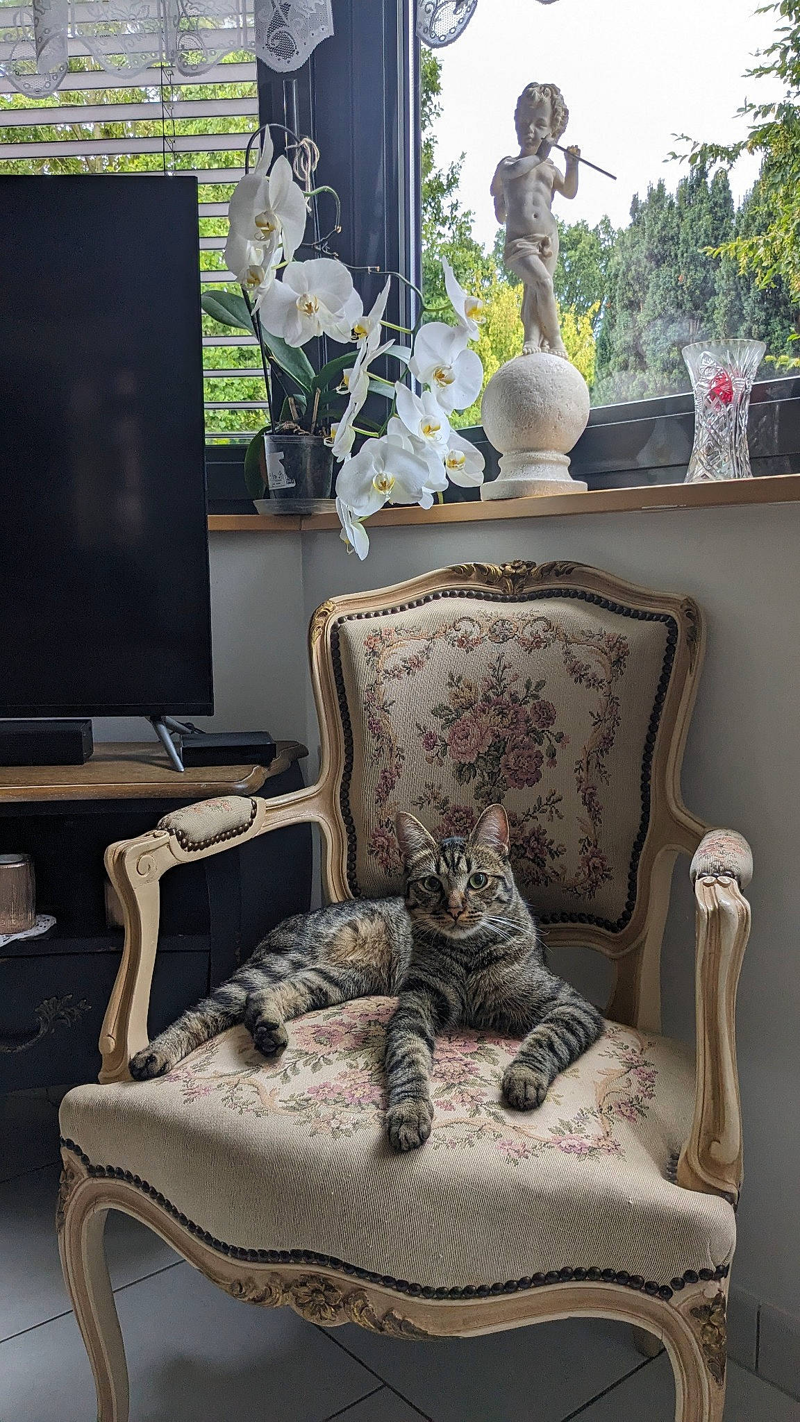 Mimi participe au concours pour gagner de l'argent avec cette photo : armrest, art, black, blue, chair, comfort, flooring, furniture, green, hardwood, house, interior_design, living_room, plant, property, room, television, tree, white, wood