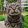 T-Cat