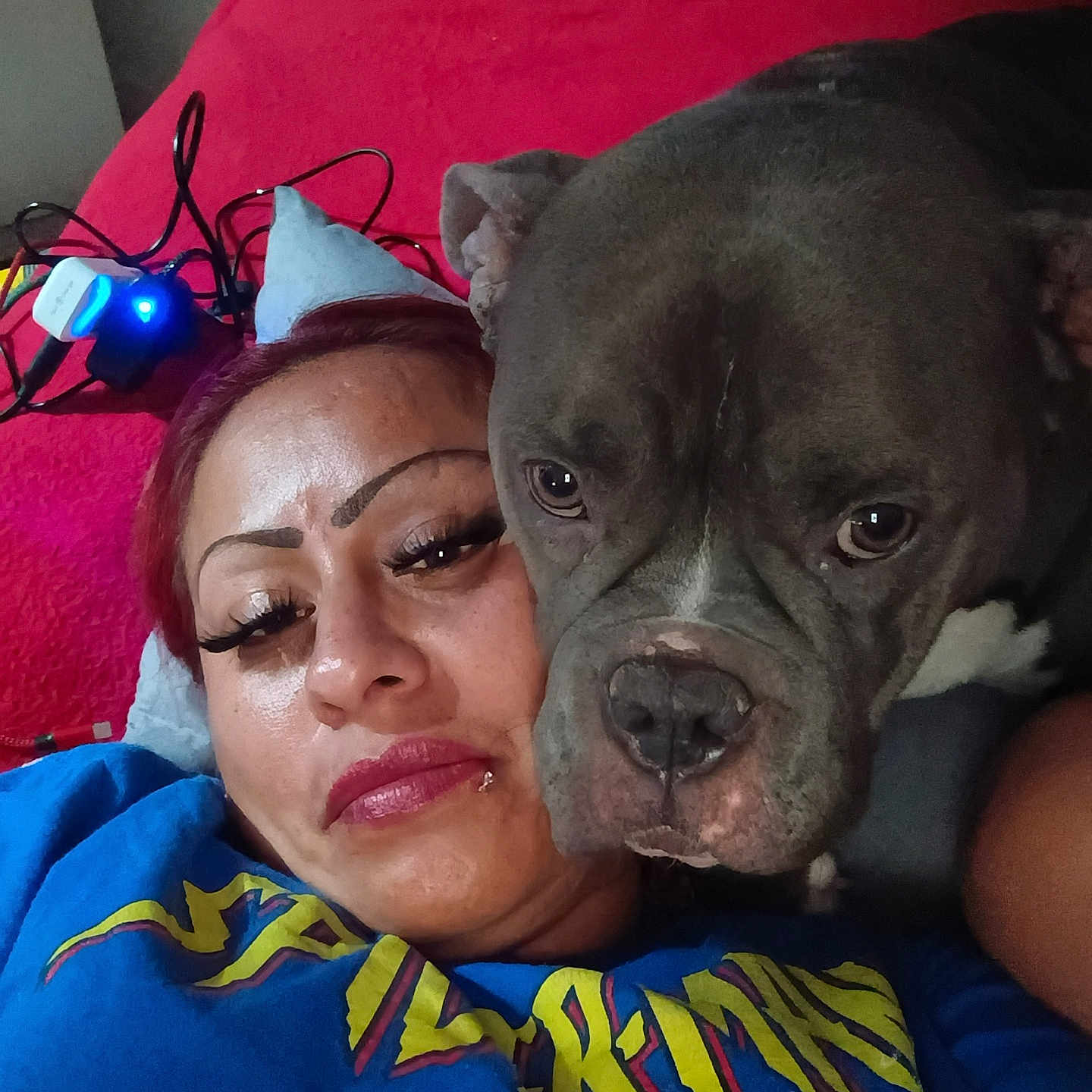 Daimond is registered to the contest to win money with this photo: bed, chargers, close_up, companion, dog, eyelashes, eyes, face, indoor, lip_piercing, lipstick, muzzle, person, pet, pillow, pit_bull, red_blanket, selfie, t_shirt, wires