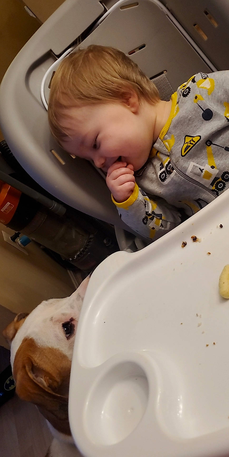 Greyson joined the competition — help win amazing prizes! arm, baby, car_seat, cheek, child, chin, comfort, dog, ear, facial_expression, hairstyle, hand, head, mouth, nose, organ, person, product, skin, sleeve