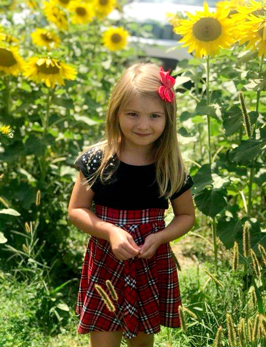 Sophia joined the competition — help win amazing prizes! botany, clothing, day_dress, dress, flower, grass, green, hair, happy, joy, leaf, meadow, nature, people_in_nature, person, petal, plaid, plant, smile, summer