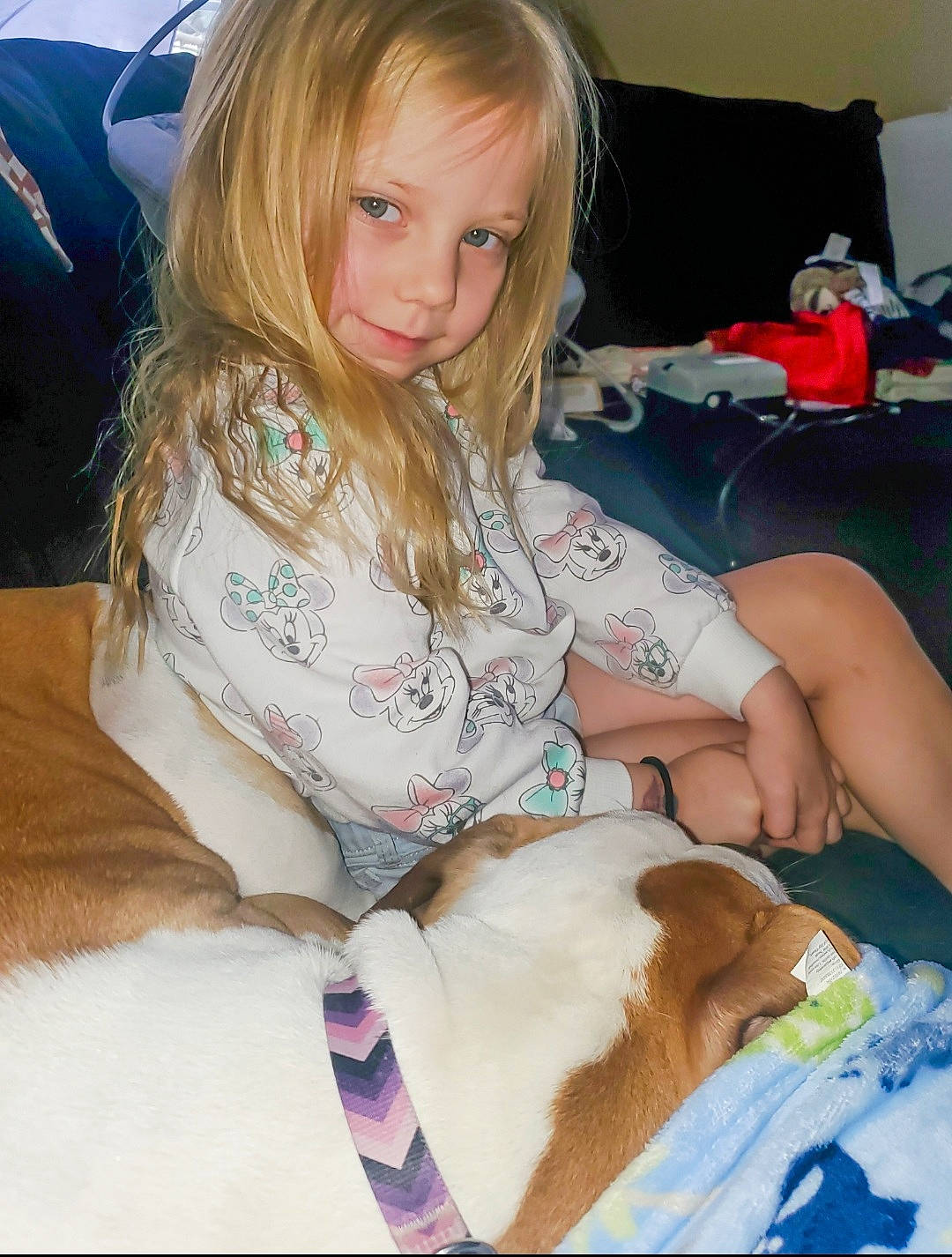 Annalynn joined the competition — help win amazing prizes! bag, blond, canidae, carnivore, child, comfort, companion_dog, couch, dog_breed, fawn, fur, hair, human_leg, knee, lap, linens, person, room, sitting, thigh