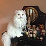 animal, cabinet, cat, collection, cute, decor, feline, figurines, fluffy, furniture, home, indoor, lucky_cat, mirror, ornaments, pets, sitting, statue, tabletop, white_cat