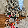 Jaxx joined the competition — help win amazing prizes! carpet, christmas_tree, decorations, dog, dog_toys, door, festive, green_sweater, holiday, indoor, ornaments, plush_toy, reindeer, smiling_dog, snowman, toys, treats, window_blinds, wood_floor, wrapped_presents