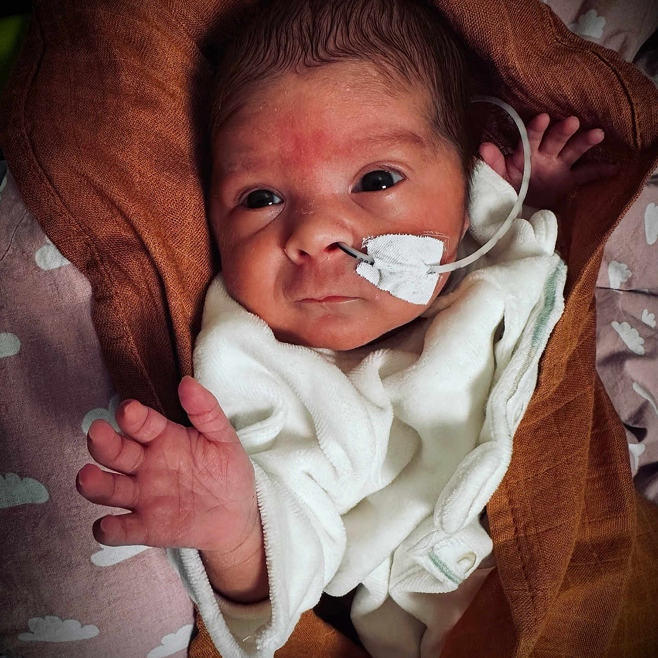 Firdaws participe au concours pour gagner de l'argent avec cette photo : baby, blanket, bodypart, bonnet, clothing, couch, face, finger, furniture, hand, hat, head, homedecor, hoodie, linen, newborn, person, photography, portrait, towel