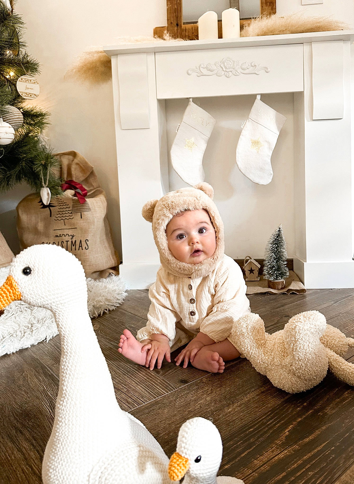 Lina participe au concours pour gagner de l'argent avec cette photo : _geese_and_swans, baby, baby_toddler_clothing, beak, child, comfort, duck, ducks, event, flooring, happy, hat, headwear, person, room, shelf, shelving, surprise, textile, toddler