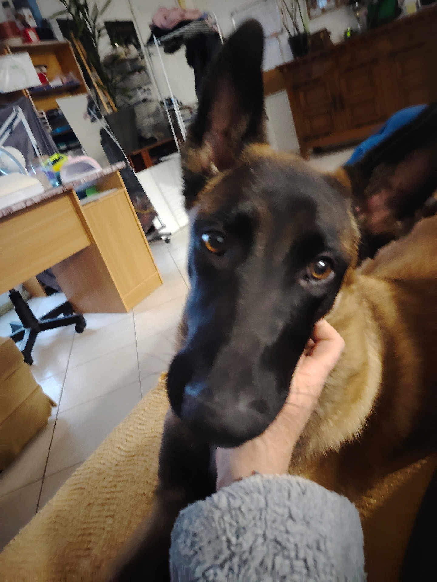 Aïko