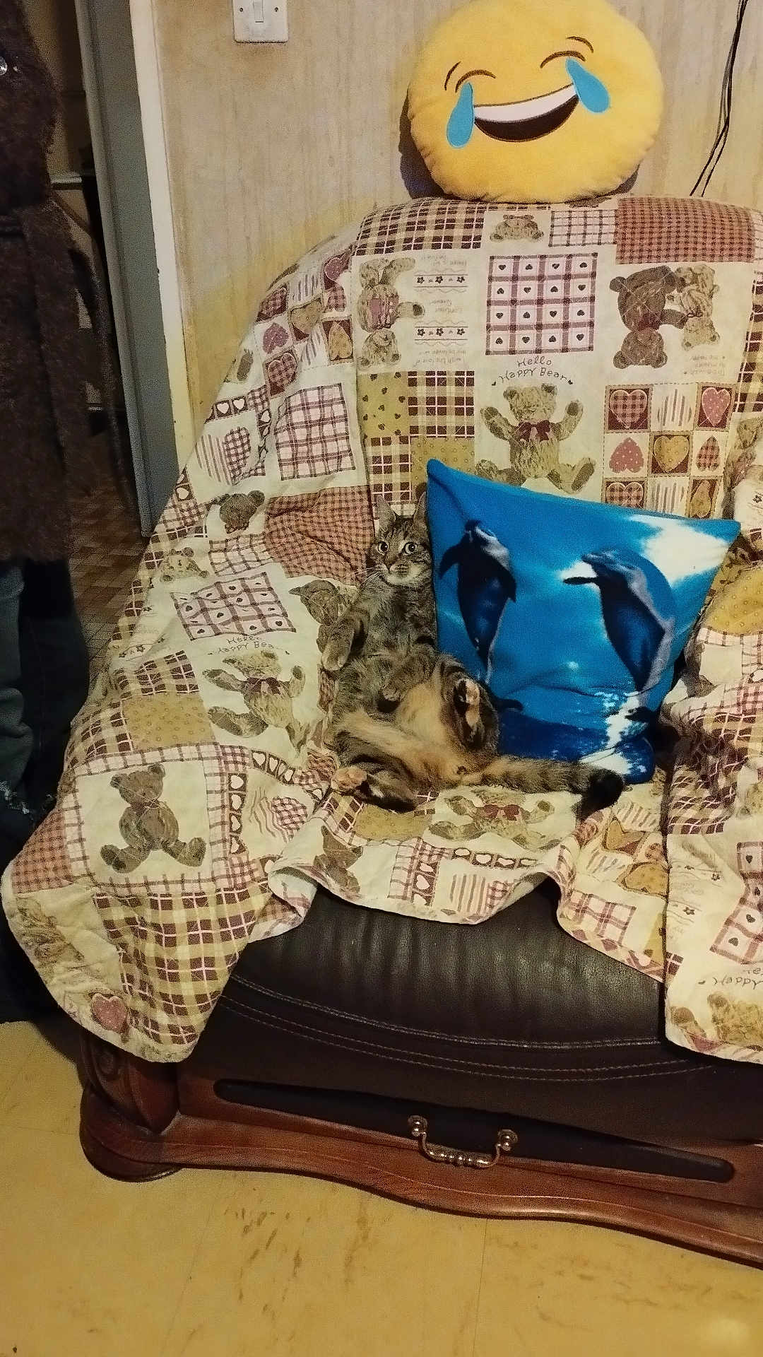 Collante participe au concours pour gagner de l'argent avec cette photo : cat, tabby_cat, armchair, quilt, teddy_bear_pattern, blue_pillow, dolphin_image, emoji_pillow, laughing_emoji, indoor, furniture, floor, wall, doorway, person_leg, relaxed, cozy, patterned, plush, home