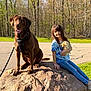 Val is registered to the contest to win money with this photo: dog, child, rock, outdoor, sunlight, grass, tree, road, toy, happy, smiling, leash, casual_clothing, sneakers, nature, playful, friendship, brown_dog, young_girl, daytime