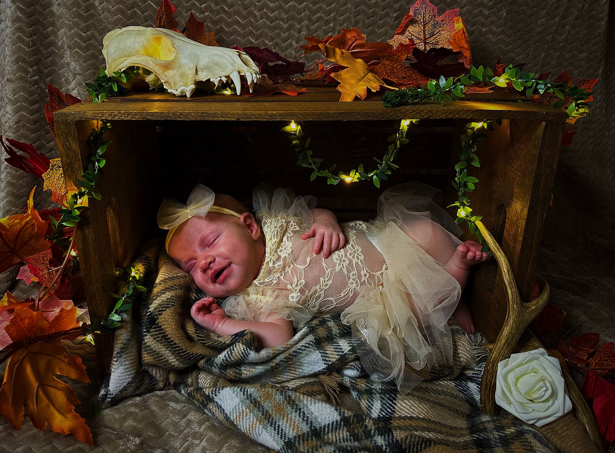 October joined the competition — help win amazing prizes! baby, baby_products, child, comfort, event, floral_design, fun, fur, interior_design, leaf, pattern, person, room, smile, toddler, toy, tradition, tree, twig, wood