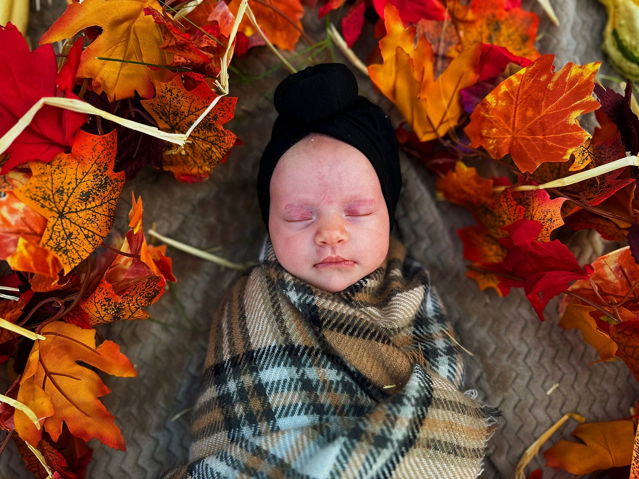 October joined the competition — help win amazing prizes! baby, cheek, deciduous, event, eye, grass, happy, head, headgear, headwear, leaf, orange, people_in_nature, person, plant, tints_and_shades, toddler, tradition, tree, twig