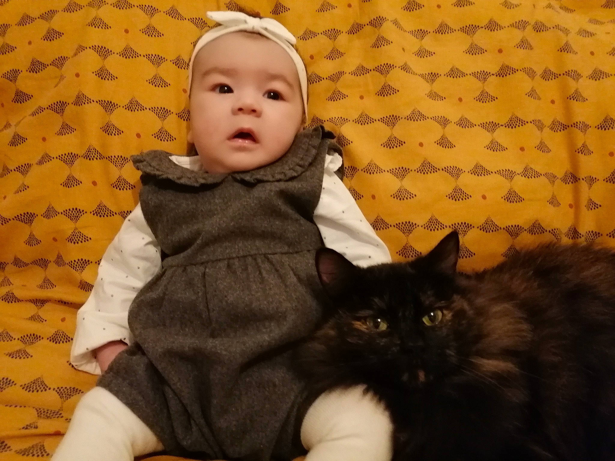 Valentina participe au concours pour gagner de l'argent avec cette photo : baby, baby_toddler_clothing, bombay, carnivore, cat, comfort, eye, felidae, fur, happy, headwear, lap, mammal, person, sitting, skin, sleeve, small_to_medium_sized_cats, textile, toddler